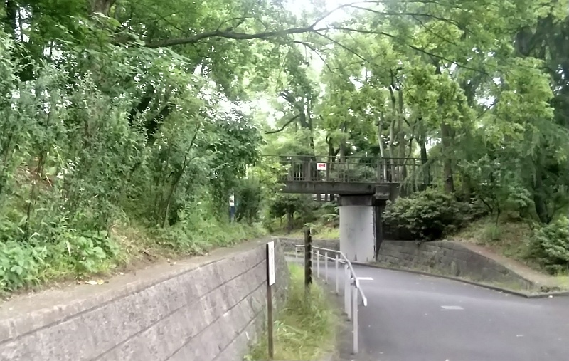 通勤路の小橋 東京都大田区平和の森公園