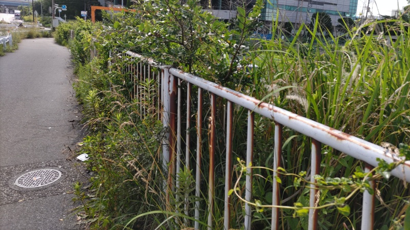 左岸の歩道 東京都大田区大和大橋