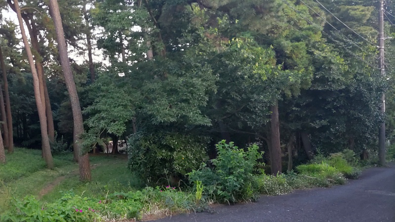 希望が丘ふれあいの森公園 横浜市旭区希望が丘ふれあいの森公園