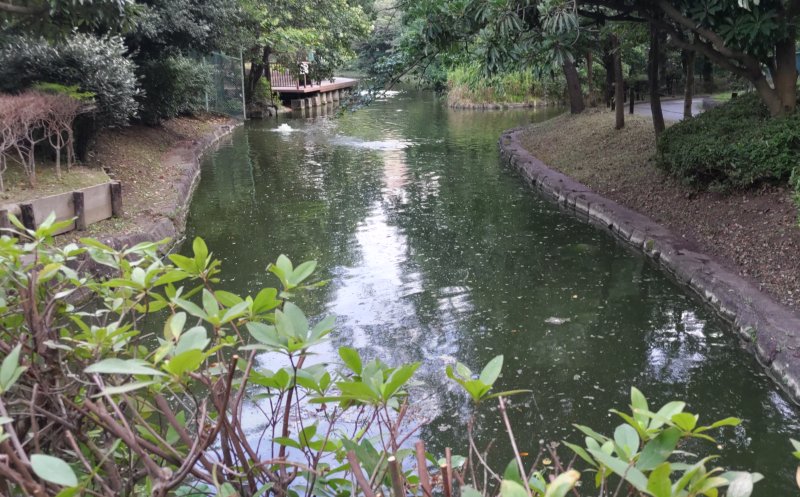 ひょうたん池の上流 東京都大田区平和の森公園