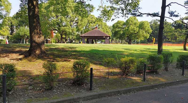 キャンプ場外周のユキヤナギの植込み 東京都大田区平和島公園