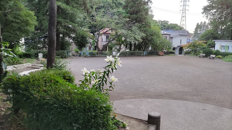 広場 横浜市旭区希望が丘ふれあいの森公園