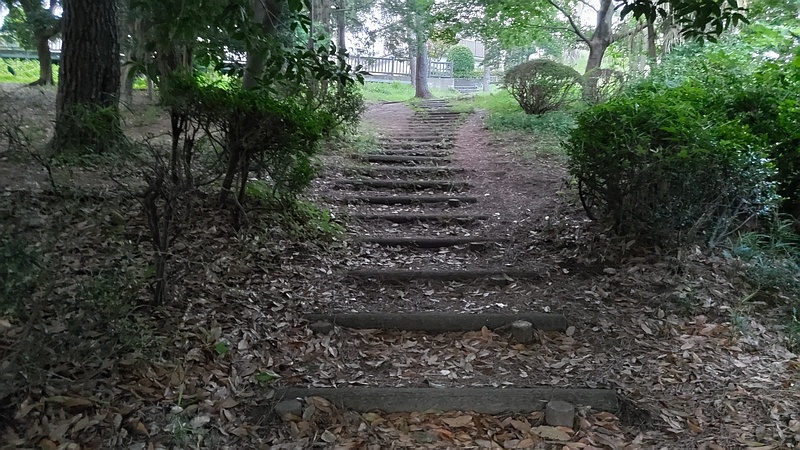 希望が丘ふれあいの森公園 横浜市旭区希望が丘ふれあいの森公園