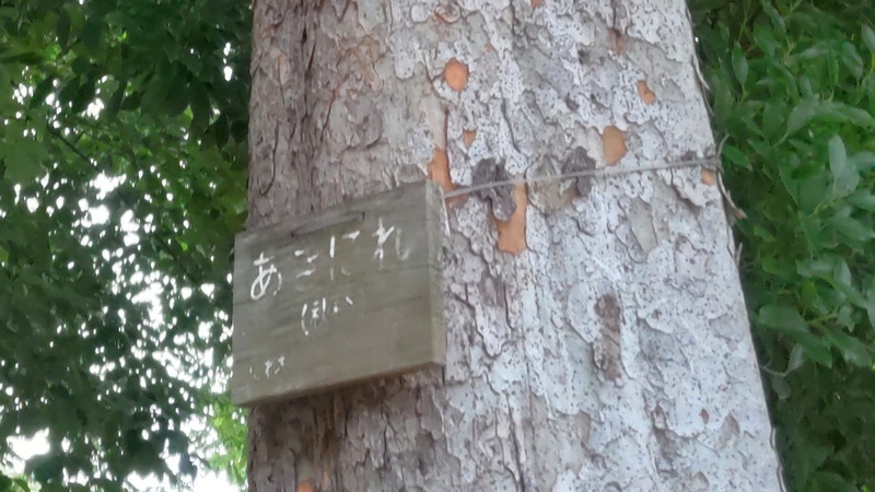 アキニレの名札 東京都大田区平和の森公園