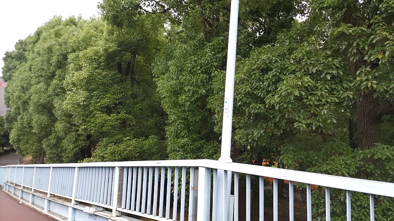 スロープ 東京都大田区平和島公園