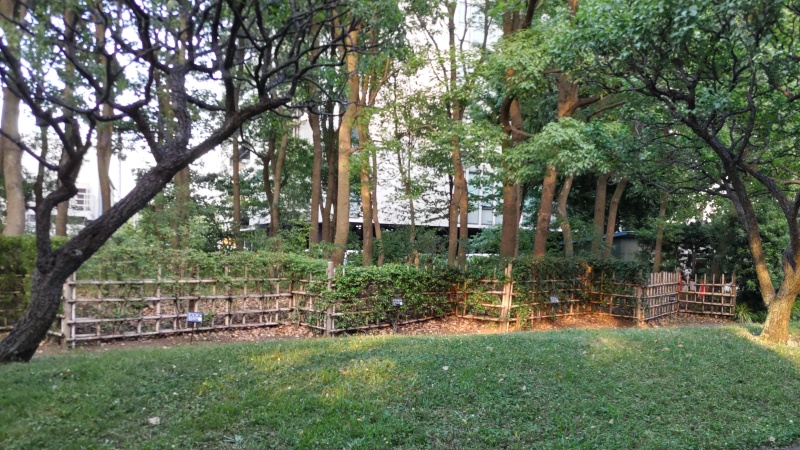 生垣展示 東京都大田区平和の森公園