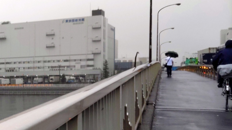 ビロードモウズイカの鎌首 東京都大田区大和大橋