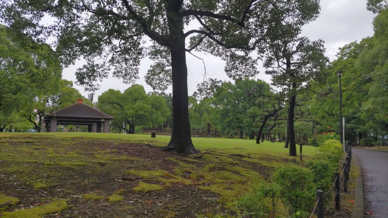 キャンプ場の炊事棟を望む 東京都大田区平和島公園
