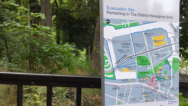 避難場所案内図、トサミズキ 東京都大田区平和の森公園