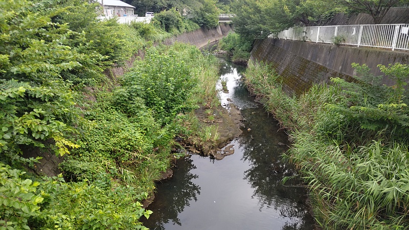 帷子川上流 横浜市旭区今宿南町