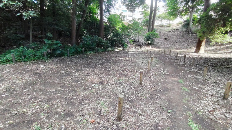除草跡 横浜市旭区希望が丘水の森公園