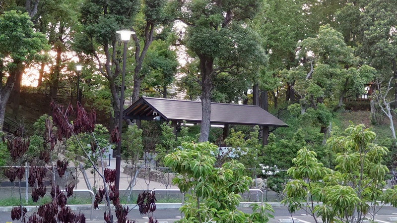 ソヨゴの向こうのキャンプ場 東京都大田区平和島公園