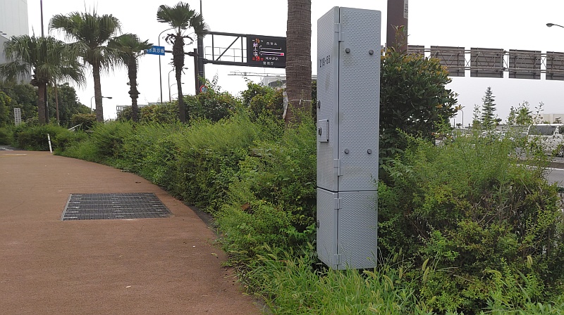 左歩道のユキヤナギ、ヨモギ、シュロ、トウジュロ、サザンカ、エノコログサ 東京都大田区大和大橋