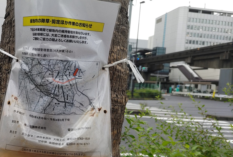 シュロの幹に留められた除草と剪定作業の公示 東京都大田区大和大橋