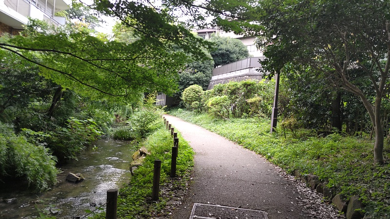 帷子川親水緑道 横浜市旭区帷子川親水緑道