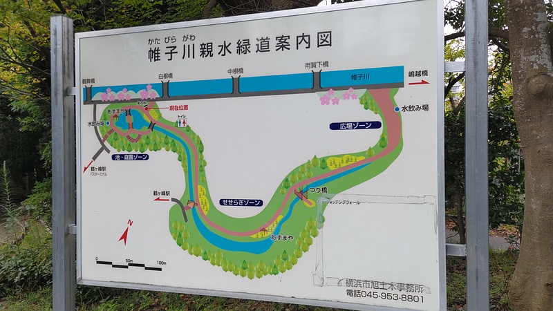 帷子川親水緑道案内図 横浜市旭区帷子川親水緑道