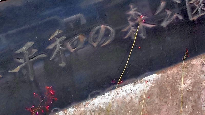 碑とハゼラン 東京都大田区平和の森公園