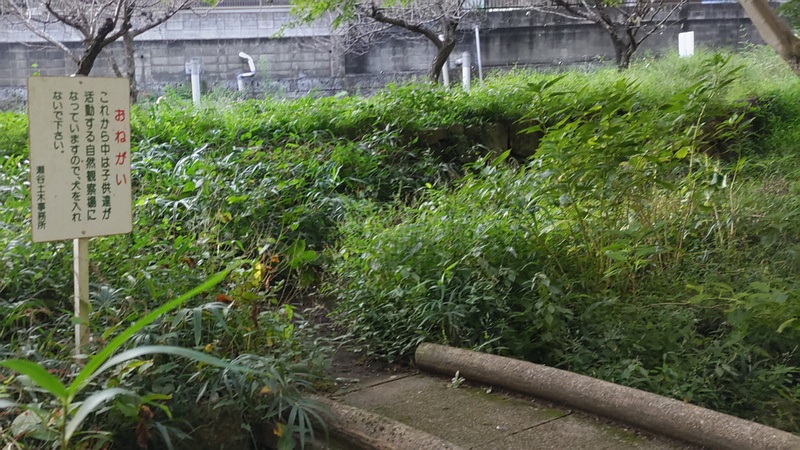 自然観察場の掲示 横浜市瀬谷区長屋門公園