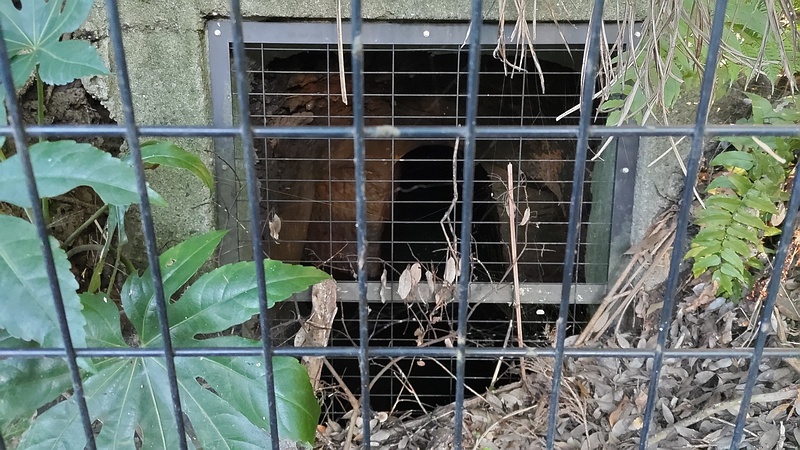 横井戸 横浜市瀬谷区長屋門公園