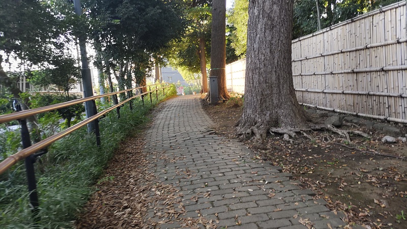 長屋門に続く竹垣 横浜市瀬谷区長屋門公園