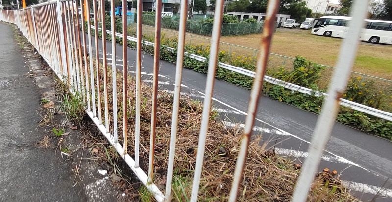 除草作業後の大和大橋の袂 東京都大田区大和大橋