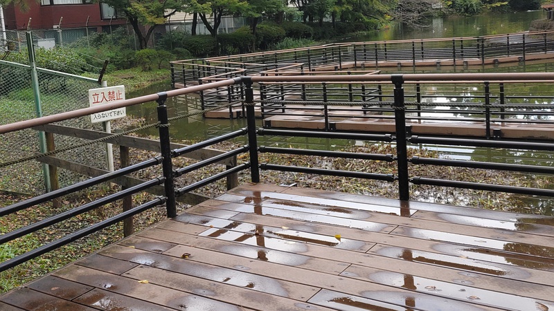 除草 東京都大田区平和の森公園