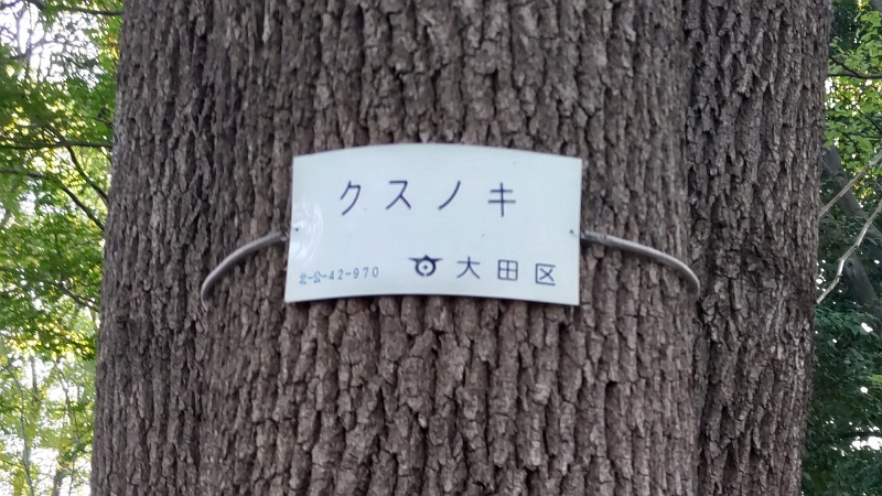 クスノキの樹木番号 東京都大田区平和の森公園