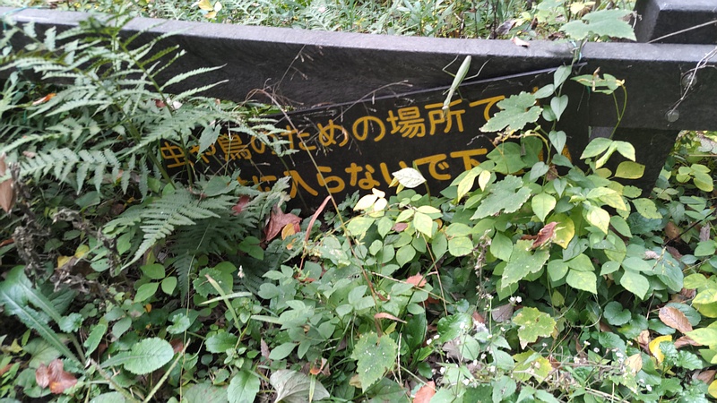 除草後 横浜市旭区希望が丘水の森公園