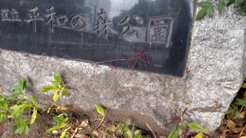 ハゼラン 東京都大田区平和の森公園