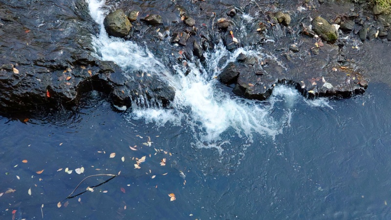 上流域 横浜市旭区今宿南町