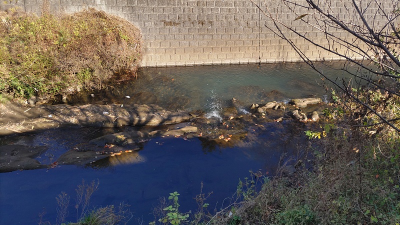 上流域 横浜市旭区今宿南町