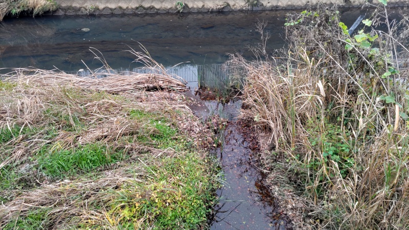 帷子川 横浜市旭区今宿南町