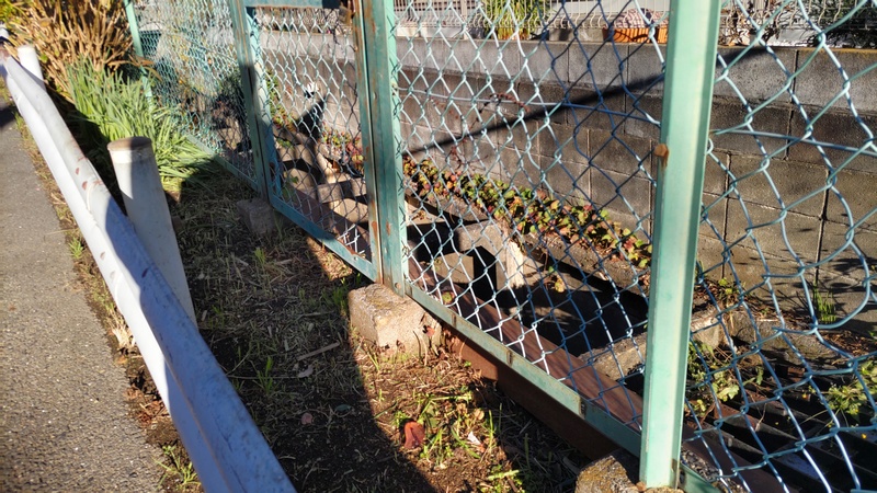 帷子川源流 横浜市旭区南希望が丘