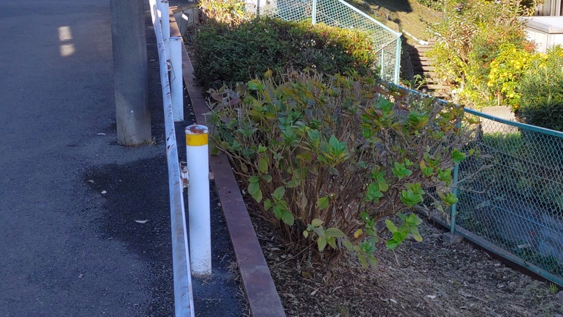 帷子川源流 横浜市旭区南希望が丘