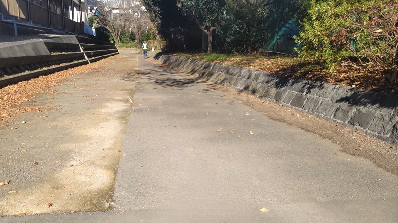 帷子川旧川 横浜市旭区今川町