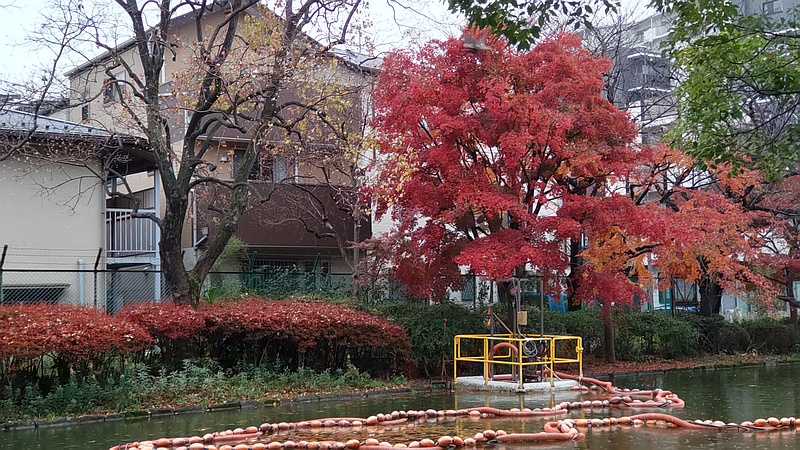 ウメの花と浚渫工事 東京都大田区平和の森公園