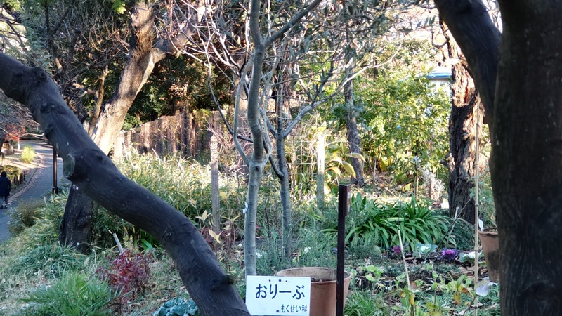 オリーブの名札 東京都大田区平和の森公園
