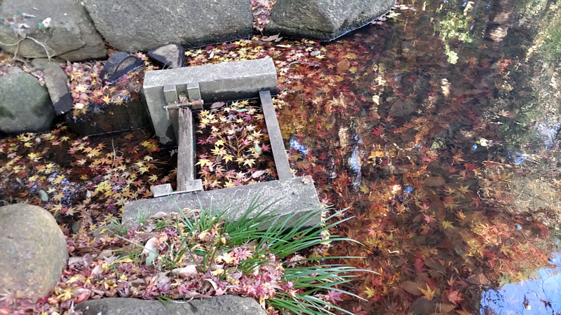 水源池 横浜市瀬谷区長屋門公園