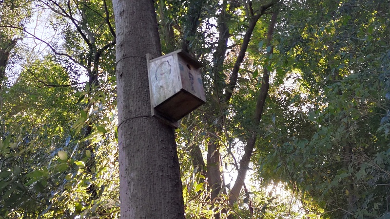 巣箱 横浜市瀬谷区長屋門公園
