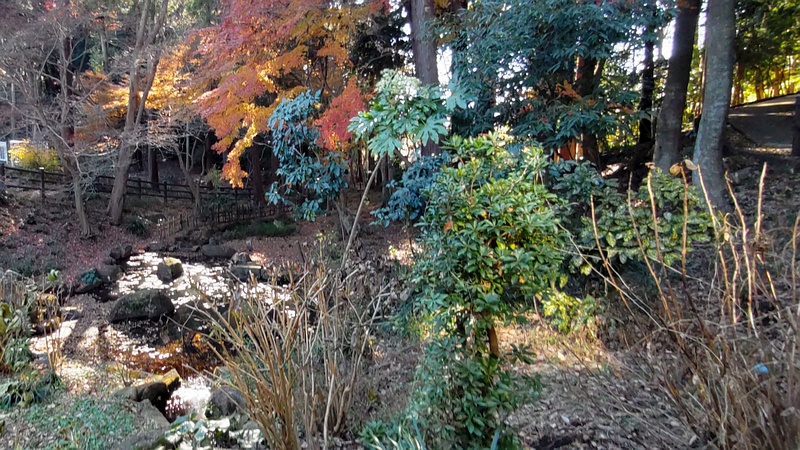 水源池 横浜市瀬谷区長屋門公園