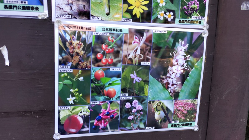 掲示板 横浜市瀬谷区長屋門公園