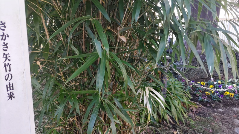 ヤダケ 横浜市旭区鶴ヶ峰本町畠山重忠公碑