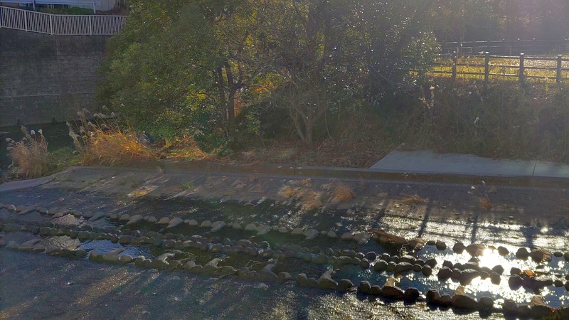 帷子川 横浜市旭区今川町