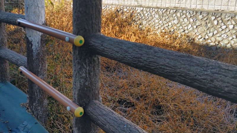 シャクチリソバ 横浜市旭区今川町