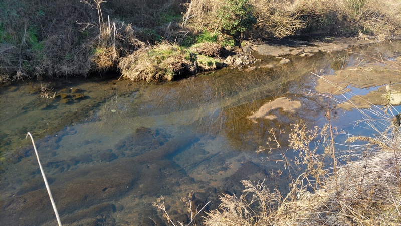 帷子川 横浜市旭区鶴ヶ峰本町
