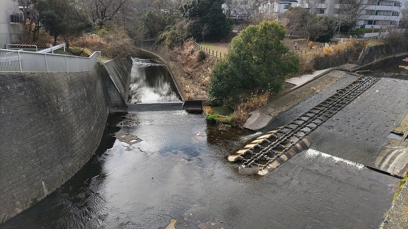 畠山重忠公碑から見下ろす帷子川 横浜市旭区今川町
