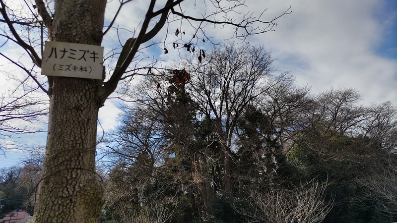 ハナミズキの名札 横浜市旭区鶴ヶ峰本町