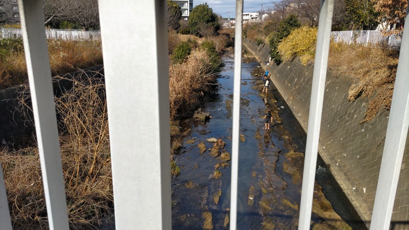 川遊び 横浜市旭区鶴ヶ峰本町