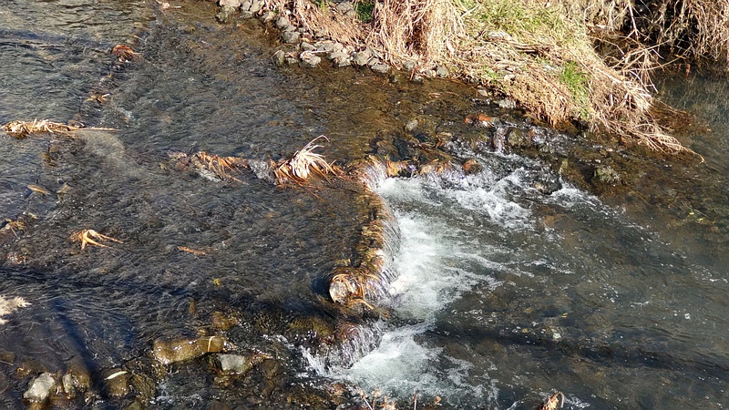 遊水地から見下ろす帷子川 横浜市旭区今宿南町