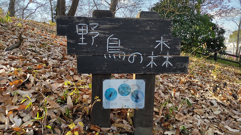 野鳥の森の立札 横浜市旭区今川町今川公園
